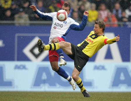 他却像一棵 他却像一棵